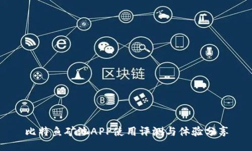 比特鱼矿池APP使用评测与体验分享