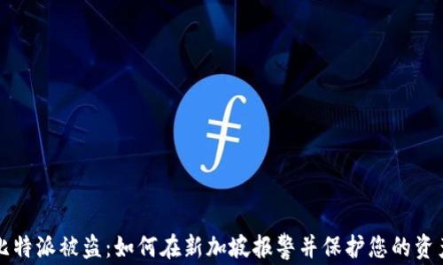 
比特派被盗：如何在新加坡报警并保护您的资产