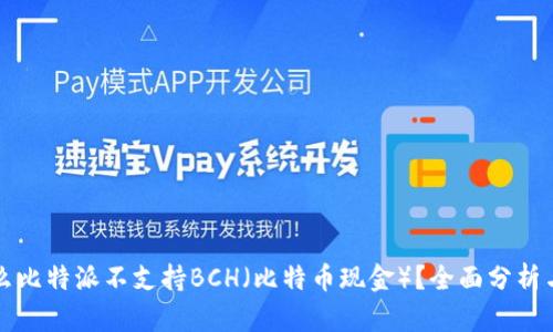 为什么比特派不支持BCH（比特币现金）？全面分析与解读